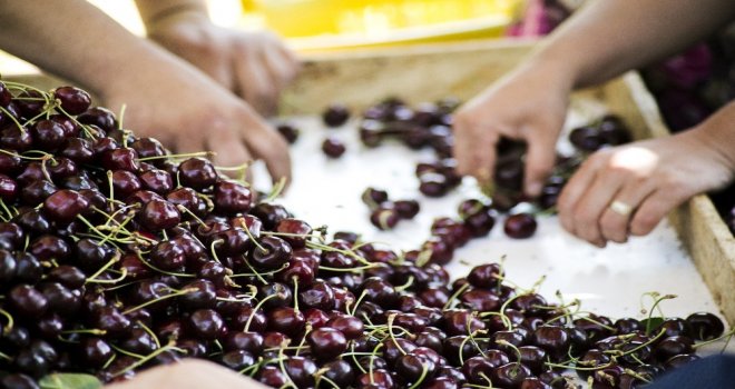 Yaş Meyve Sebze Ve Mamulleri İhracatçıları Dört Koldan Tanıtım Atağına Kalktı