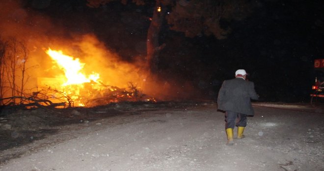 Antalyada Orman Yangını