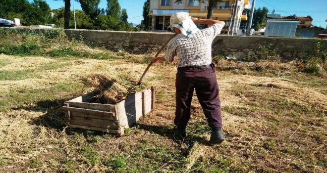 Yem Bitkilerini Sandığa Basarak Balya Yapıyor