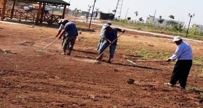 Harranda Kurban Bayramı Hazırlıkları Sürüyor