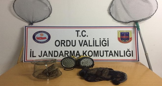 Bıldırcın Avcılarına Ağır Ceza