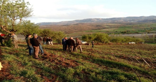 Cesetleri Bulunan Kişilerin Ölüm Sebepleri Ortaya Çıktı