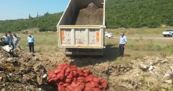 Kocaelide Uygunsuz Avlanan 266 Ton Deniz Mahsulü Yakalandı