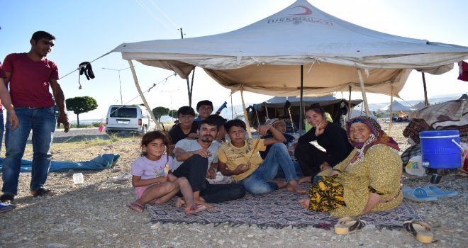 Kayısı Hasadında Çalışan Mevsimlik İşçilerin Çilesi