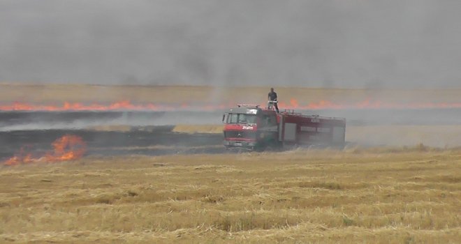 Karga Anız Tarlasını Yaktı