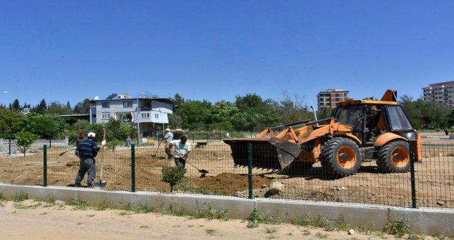 Nazilliye Meyve Bitkileri Parkı Kazandırılıyor