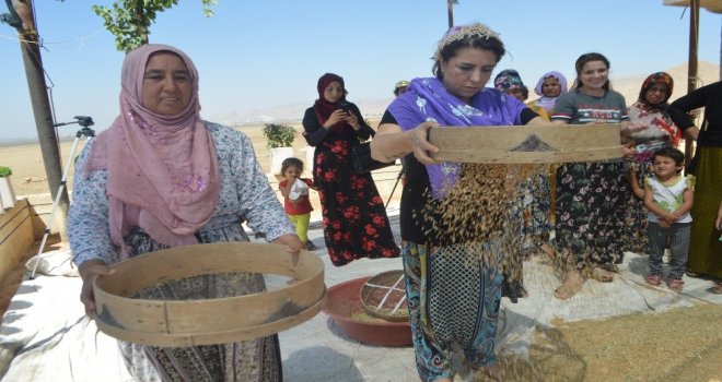 Kuraklığa Mezopotamya Topraklarının Sorgülü Çözüm Olacak