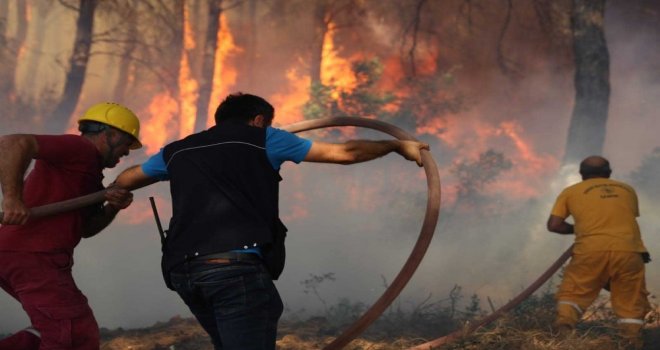 İzmirdeki Orman Yangınına İlişkin 1 Kişi Gözaltında