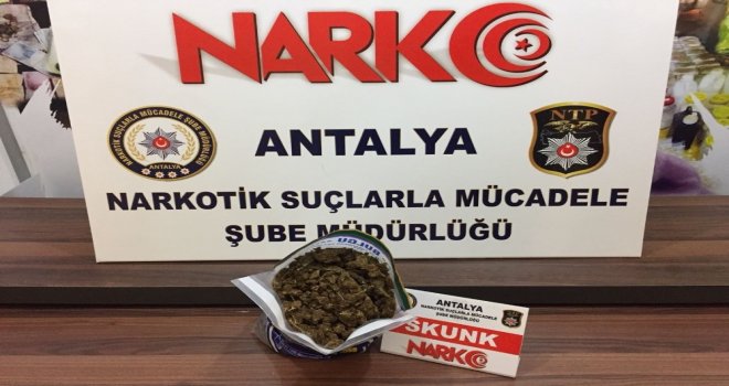 Antalyada Torbacı Avı