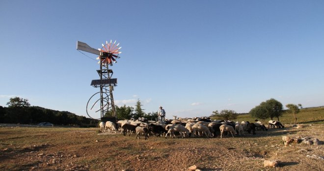 Hayvanların Su İhtiyacı Güneş Ve Rüzgar Enerjisinden