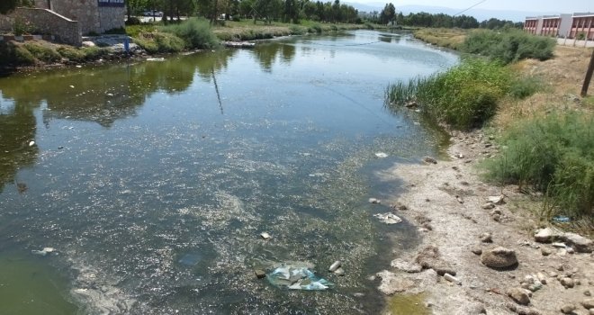 Balıkesirde Balık Ölümleri Ve Trafik Kazalarına Tepki Gösteren Tatilciler Yol Kapattı