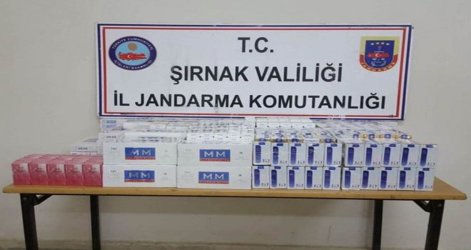 Şırnakta 13 Bin 31 Paket Kaçak Sigara Ele Geçirildi