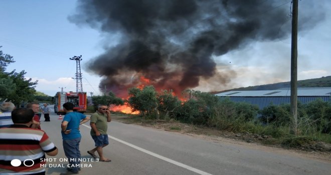 (Özel Haber) Bursada Kereste Fabrikası Alev Alev Yandı