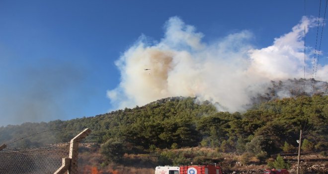 Kumlucada Eş Zamanlı Çıkan Orman Yangınları Korkuttu