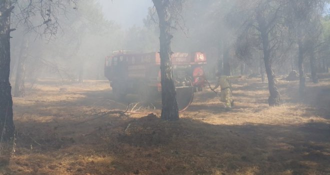 Gaziantepte Orman Yangını