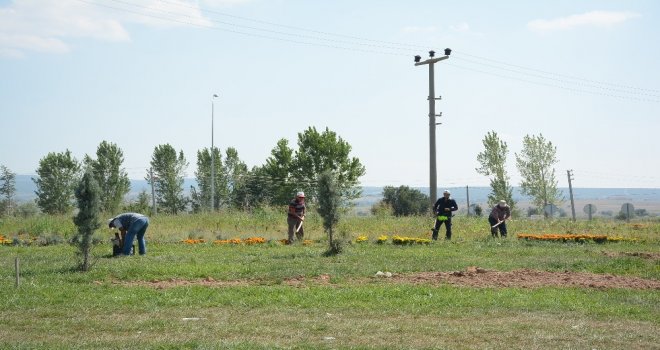 Dinarda Orta Refüjler Ve Döner Kavşaklara Düzenleme Ve Bakım Yapıldı