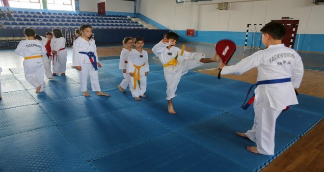 Odunpazarı Belediyesi Tekvando Yaz Okuluna Çocuklar Yoğun İlgi Gösterdi