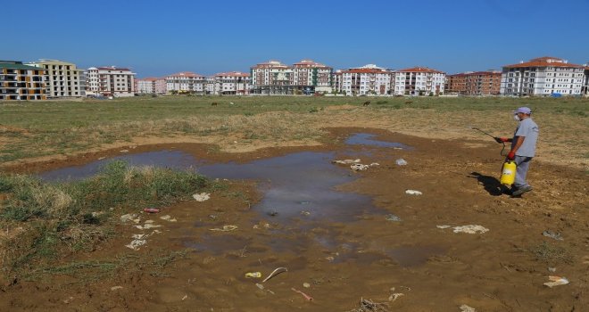 Kırklarelinde Haşere İlaçlama Çalışmaları Sürüyor