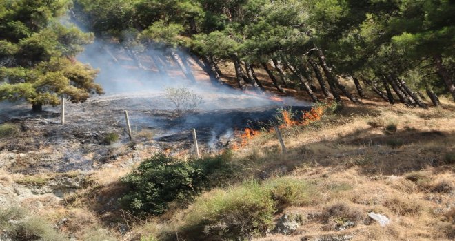 Antakyada Habib-İ Neccar Dağında Orman Yangını