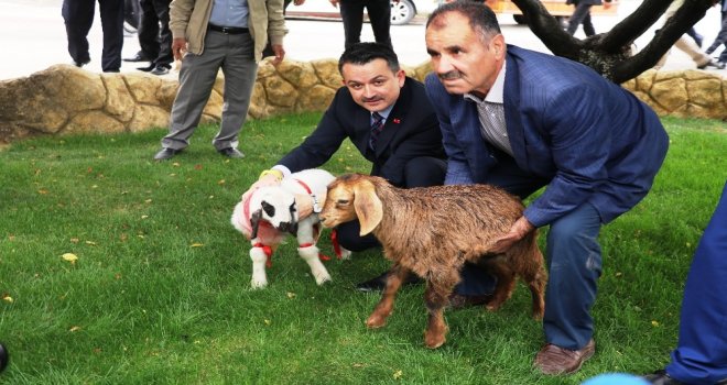 Tarım Ve Orman Bakanı Pakdemirli Malatyada