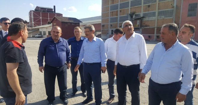 Kayseri Şeker; Turhal Şeker Fabrikasında İşleri Sıkı Tutuyor