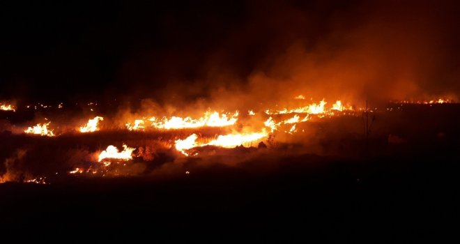 Orman Yangını Paniğe Neden Oldu