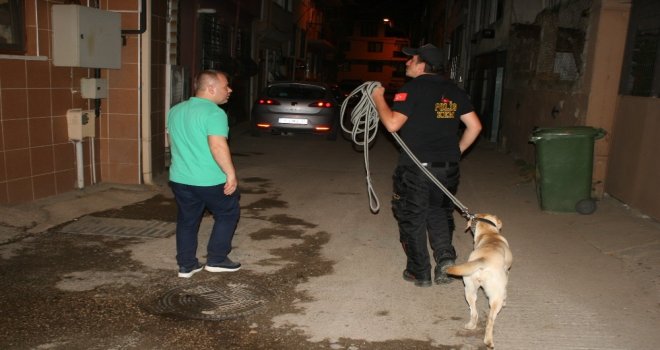 (Özel Haber) İz Takip Köpeği Sokak Sokak Yaşlı Adamı Aradı