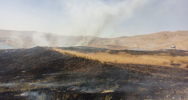 Alevler 65 Dönümlük Buğday Tarlasını Kül Etti