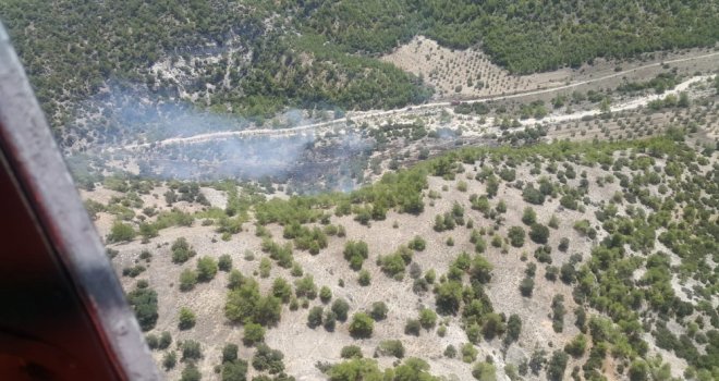 Denizlide Çıkan Yangında Genç Fidanlar Yandı