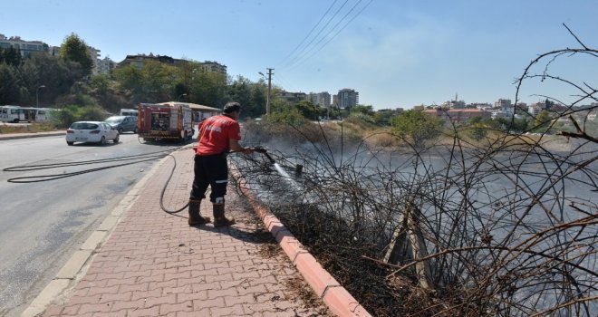 Çalılık Alanda Yangın