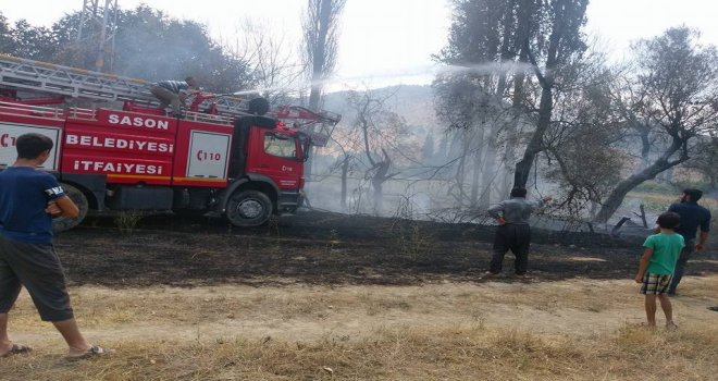 Meyve Bahçesinde Çıkan Yangın Zarara Neden Oldu