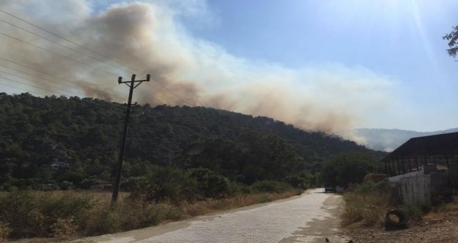 Muğlada Orman Yangını Kontrol Altına Alındı