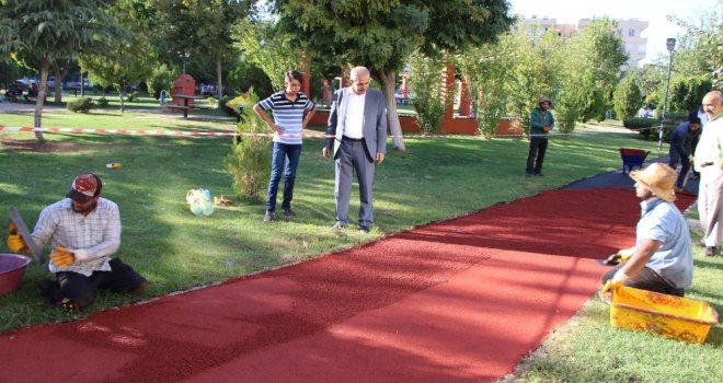 Haliliyede Parklarda Çalışmalar Sürüyor