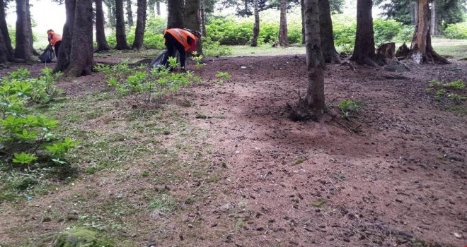 Giresun Yaylalarında Çöp Temizliği