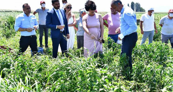 Büyükşehir’den istiridye mantarı üretimine destek