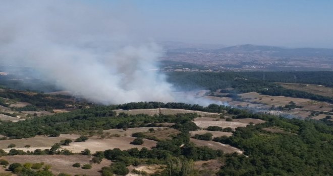 Zirai Alanda Başlayan Yangın Ormana Sıçradı