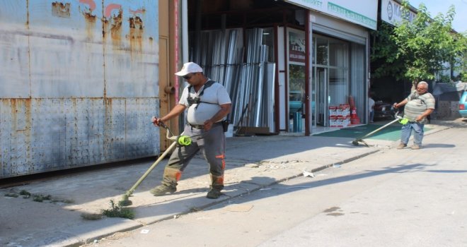 Nazilli Sanayisi Pırıl Pırıl