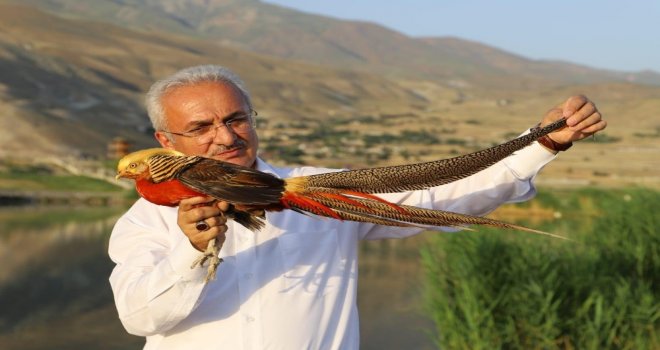 Ekşisu Mesire Alanına Kanatlı Hayvan Barınağı Oluşturuldu