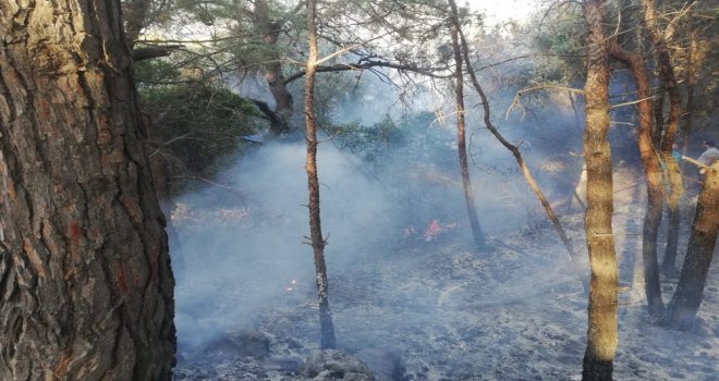 Kuşadası Dilek Yarımadası Milli Parkında Yangın