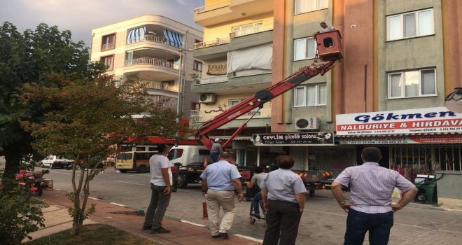 İpe Takılan Serçe Yavrularını Belediye Ekipleri Kurtardı