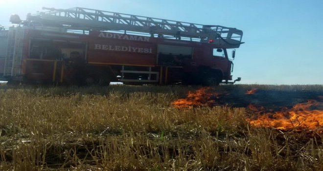 Adıyamanda Anız Yangını