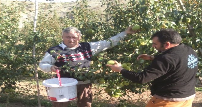 Amatör Ruhla Başladı, Tarımda Profesyonel Oldu