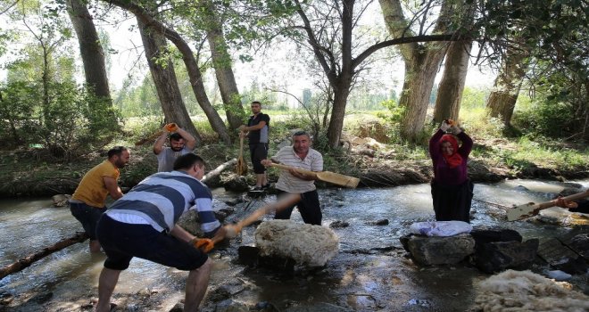 Başkan Çelik Yün Tokaçladı