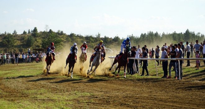 Taşköprüde Düzenlenen At Yarışları Nefesleri Kesti