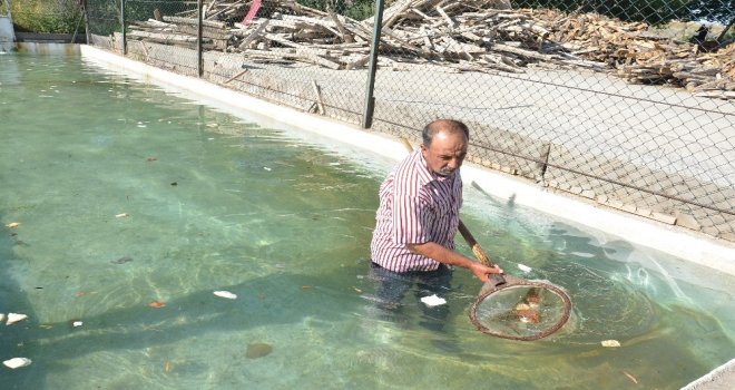 Oksijensiz Kalan Balıklara Yeni Yuva