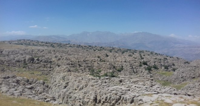 Hakkari Valiliğinden ‘Saldırı Açıklaması