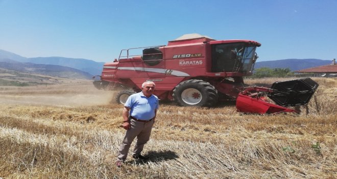 Karabükte Buğday Hasadı Başladı