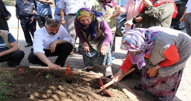 Başkan Kılıç, Bafra Huzurevinin Bahçesine Çiçek Dikti