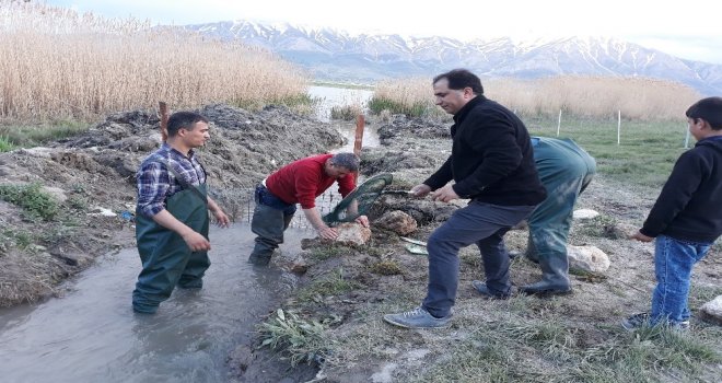 Av Yasağı Döneminde 141 Ton İnci Kefali Ele Geçirildi