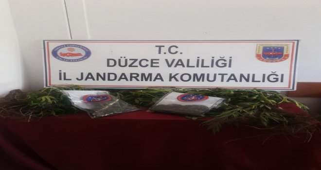 Düzcede Jandarmadan Uyuşturucu Operasyonu